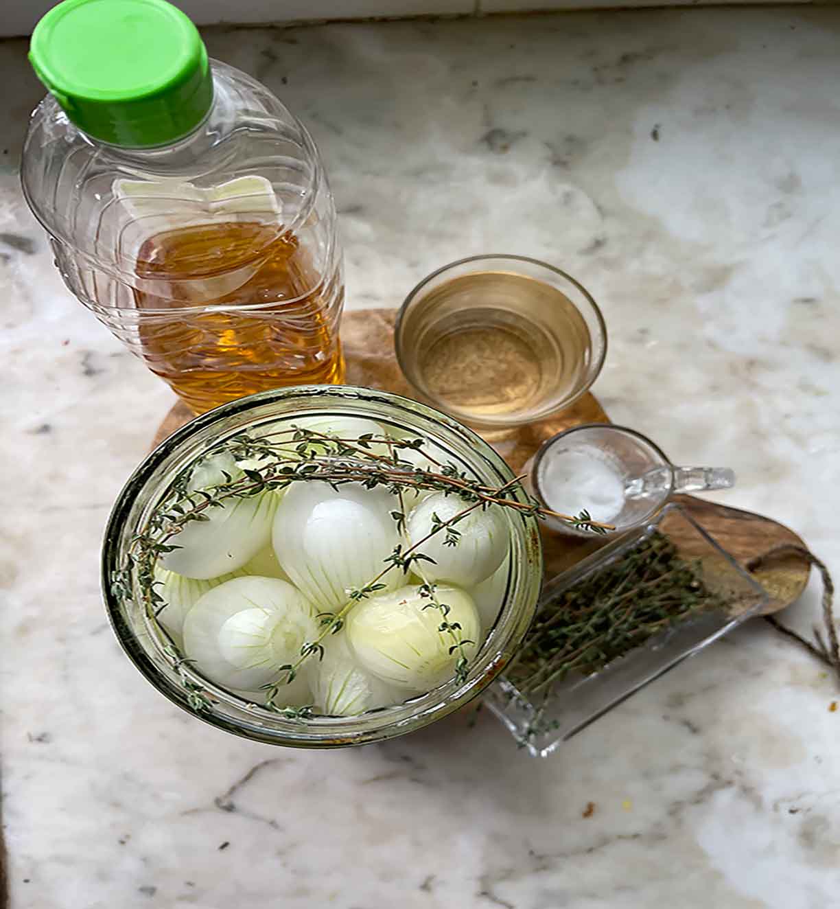 EIngelegte wieße Zwiebeln - wie gesund sind Zwiebeln- Olea-Spain